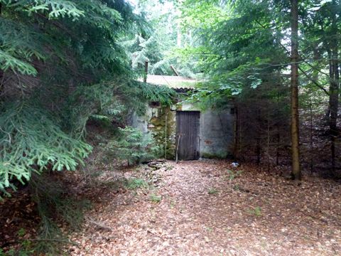 Foto 11